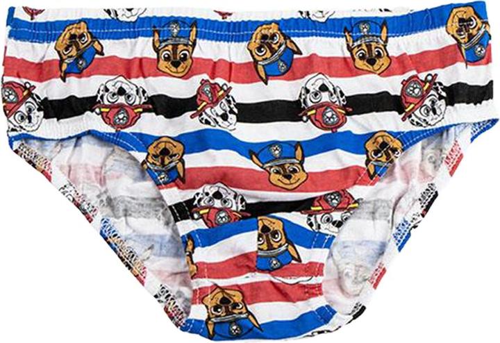 Actual product image Disney Girls' Underwear Set 3 Pieces Paw Patrol (128)