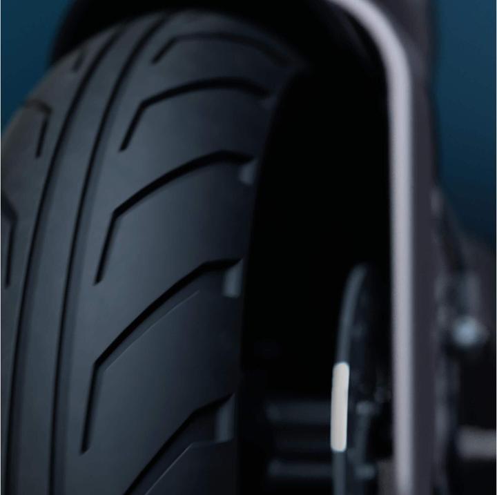 Actual product image Egret Pro (20 km/h, 80 km, 500 W)