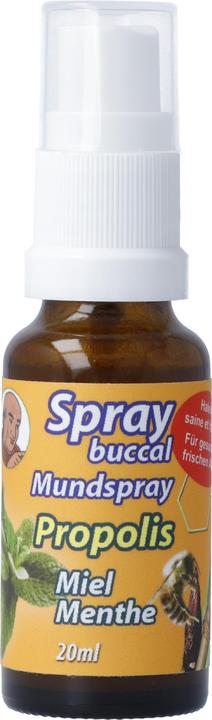 Produktbild Bioligo Spray buccal Père Michel Propolis (20 ml, Mundspray)