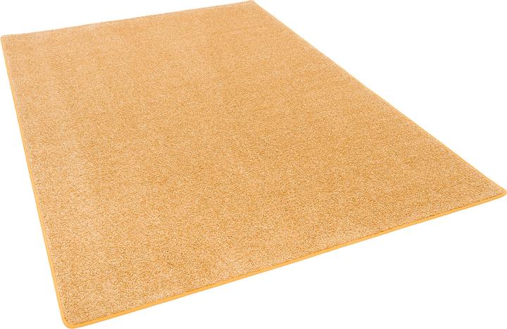 Actual product image Snapstyle Long pile carpet Cottage (133 x 133 cm)