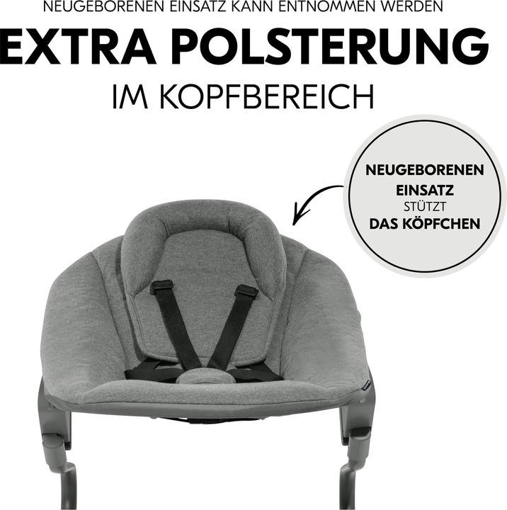Actual product image Hauck Alpha Bouncer