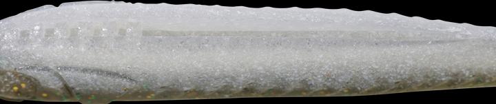 Actual product image Caperlan 332780 (10 cm)
