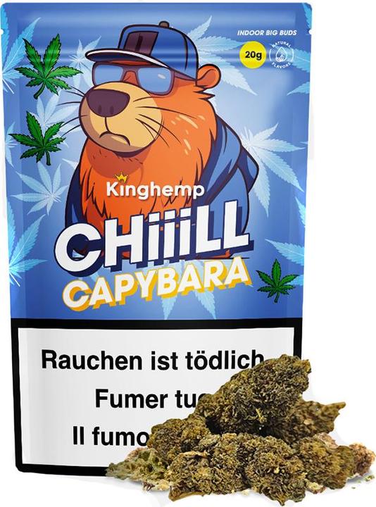 Kinghemp Chiiill Capybara (20 g, Indoor)