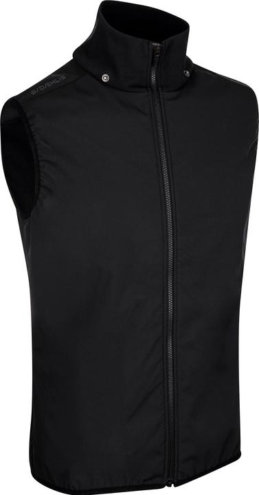 Image du produit Daehlie M Jacket Raw 5.0 (L)