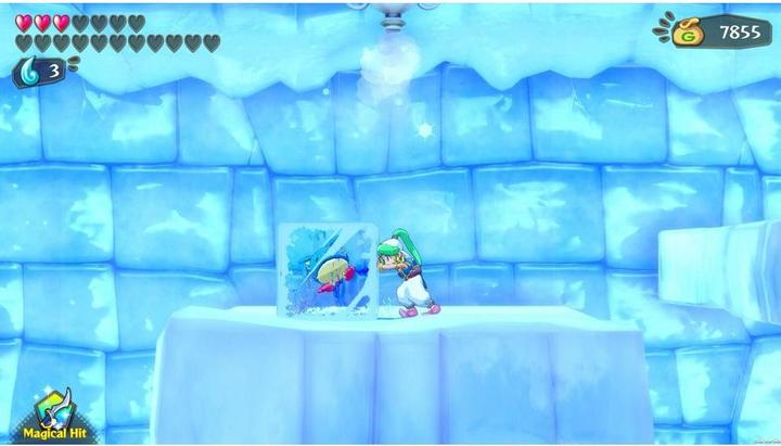 Produktbild ININ Games Wonder Boy: Asha in Monster World (Switch, Switch Lite, Switch OLED, DE)