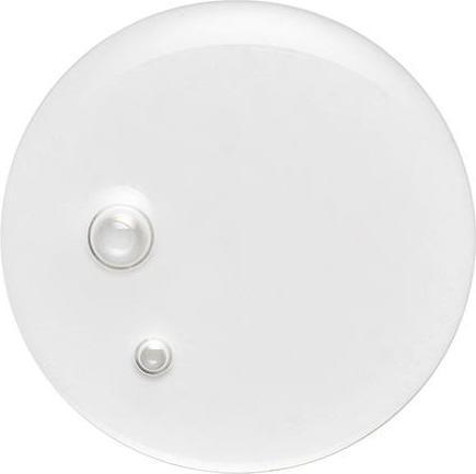 Actual product image Virtue Labs Healing Oil (50 ml)