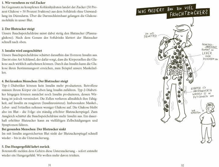 Image du produit Zuckerfrei von Anfang an (Allemand, Marianne Falck, 2020)