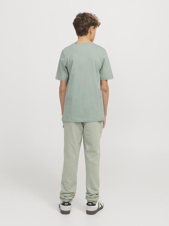 Image du produit Jack & Jones JJELOGO TEE SS ONECK 2COL 24/25 NOOS JNR (164)