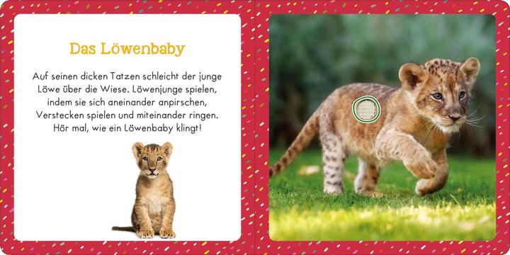 Actual product image Sound book for little ones - Favourite animals (German)