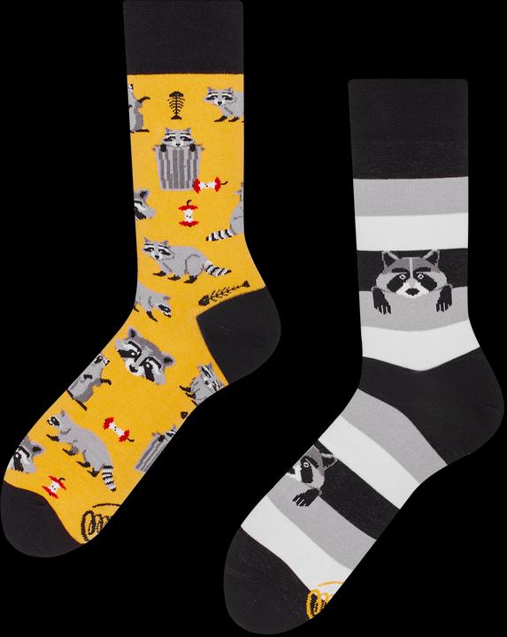 Image du produit Many Mornings Raccoon Bandit (Une unité par pack, 35 - 38)