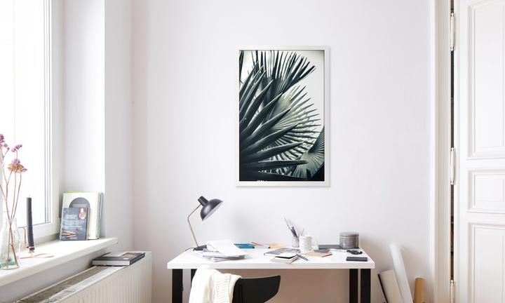 Immagine prodotto Juniqe Ombra della palma 2 (60 x 90 cm)