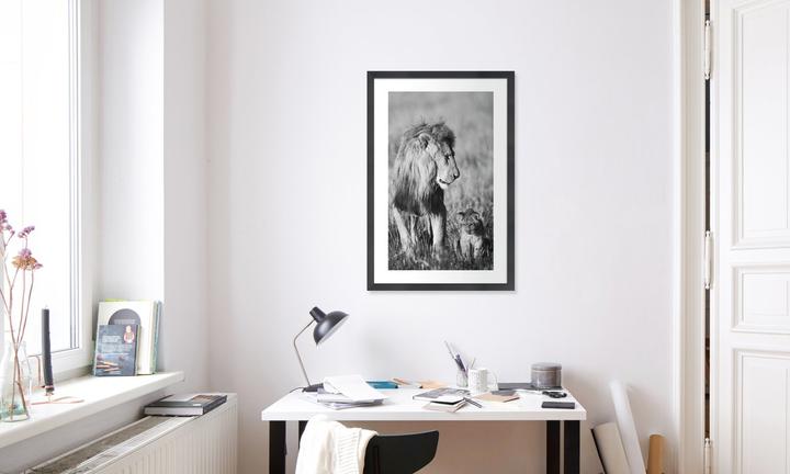 Image du produit Juniqe Lion Teaching His Cub (60 x 90 cm)