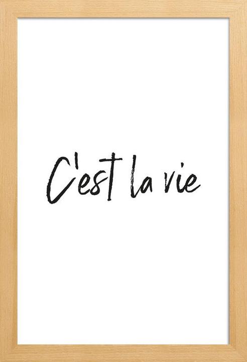 Immagine prodotto Juniqe C'est La Vie (60 x 90 cm)