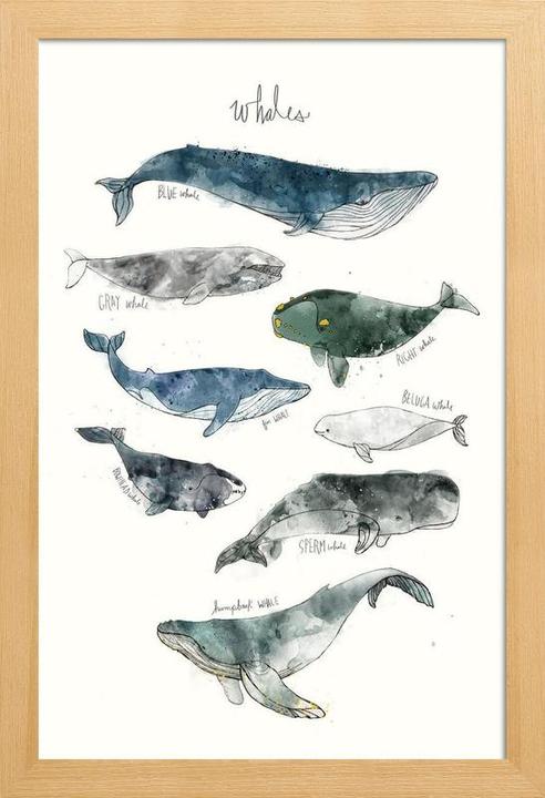 Actual product image Juniqe Whales (60 x 90 cm)