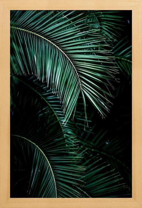Juniqe Palm Leaves 9 (60 x 90 cm)