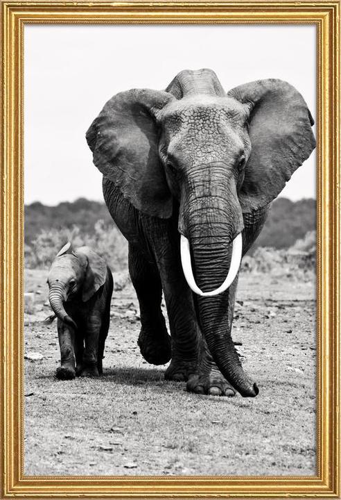 Image du produit Juniqe Big and Little (60 x 90 cm)