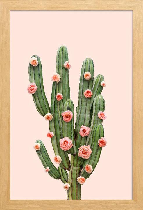 Produktbild Juniqe Cactus Roses (60 x 90 cm)