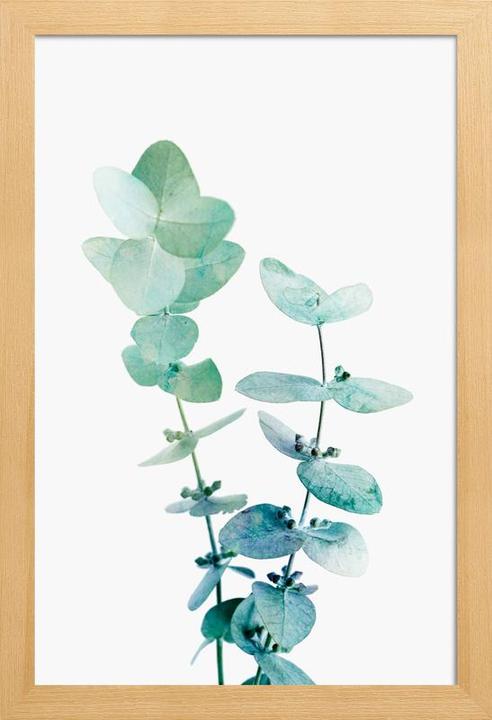 Actual product image Juniqe Print 18 (60 x 90 cm)