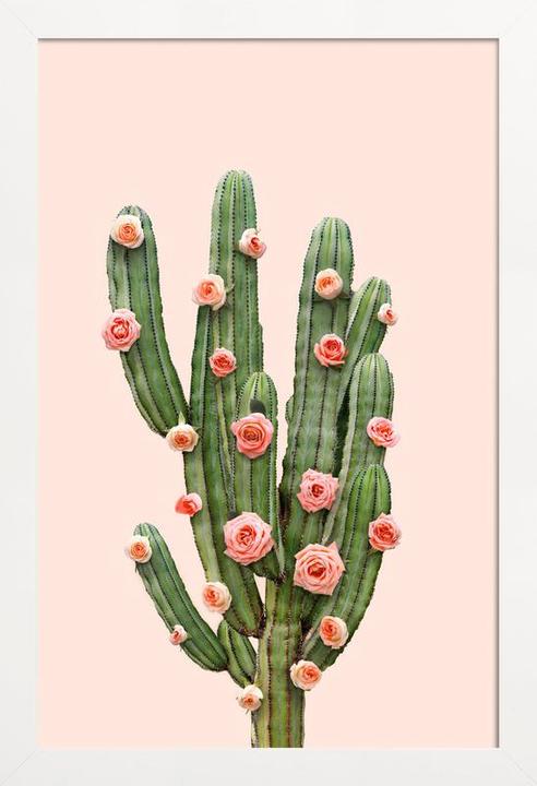 Actual product image Juniqe Cactus Roses (60 x 90 cm)