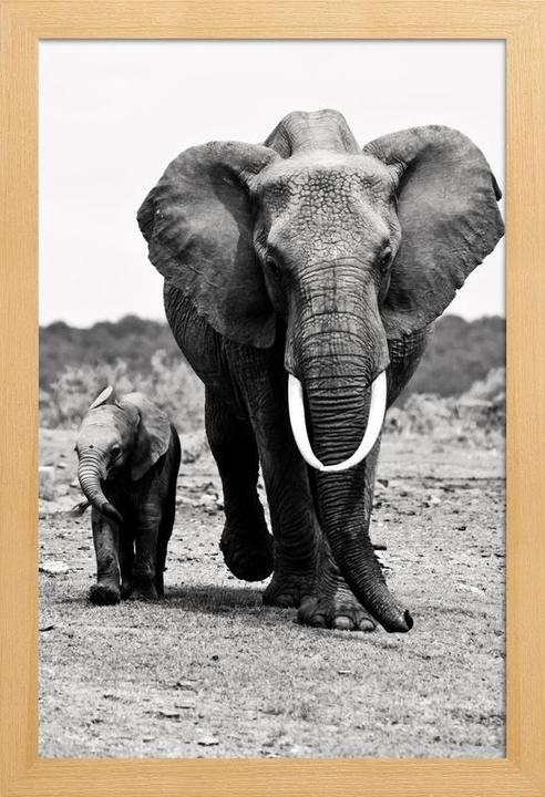 Actual product image Juniqe Big and Little (60 x 90 cm)
