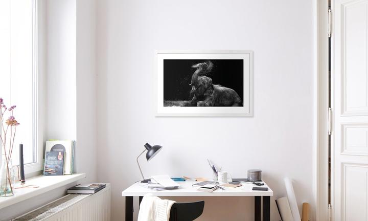 Produktbild Juniqe Frolicking Elephant (60 x 90 cm)