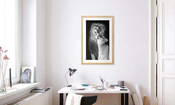 Actual product image Juniqe Lions in Love (60 x 90 cm)
