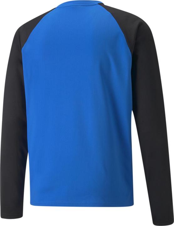 Actual product image Puma teamLIGA Training Sweat-657238 (L)