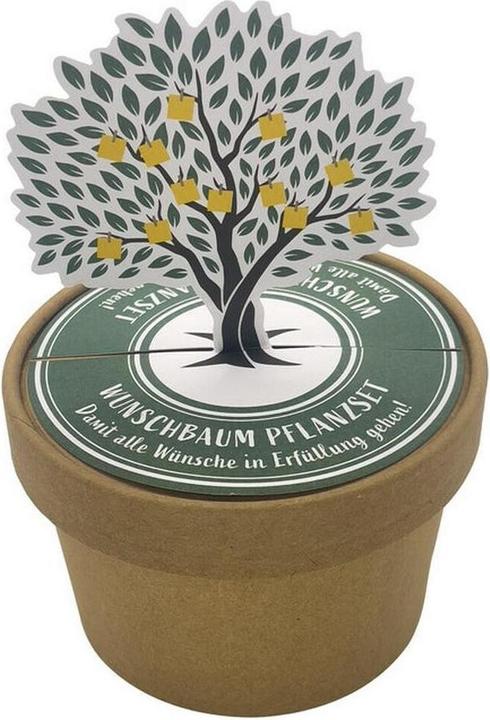 Immagine prodotto Wunderle Vaso per albero dei desideri Wundertüte (Borsa da regalo, 1 x)