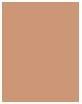Image du produit Wet n Wild ML Incognito All Day Conceal 1111902E (Léger Moyen)