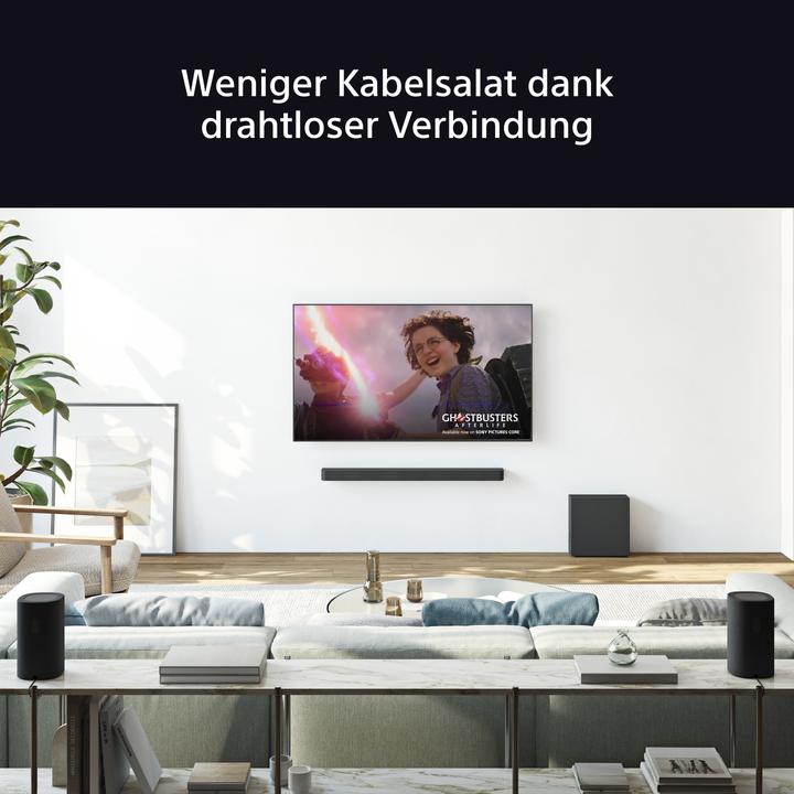 Actual product image Sony SA-RS8 (1 pair, 100 W)