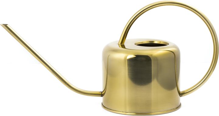 Actual product image Kikkerland Vintage Watering Can (1.20 l)