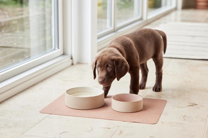 Image du produit Oyoy ZOO - Koko Dog Bowl Mat - Brown (Z60000)