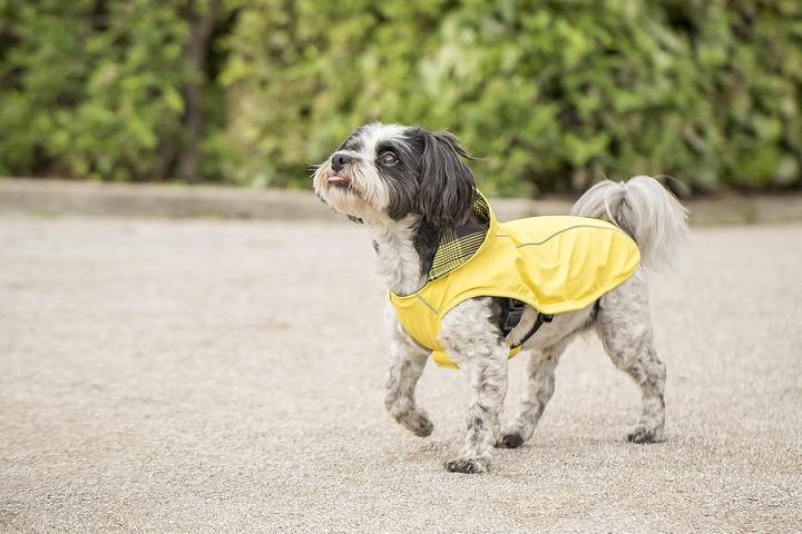 Produktbild Chiara Scotty (L, Hundemantel)