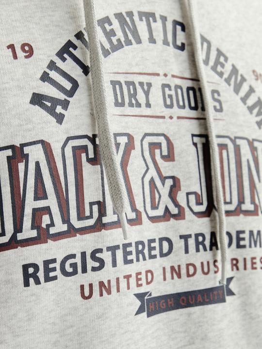 Actual product image Jack & Jones JJELOGO SWEAT HOOD 2 COL 24/25 NOOS (XL)