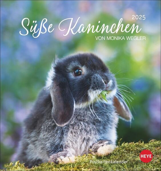 Produktbild Süsse Kaninchen Postkartenkalender 2025 (Harter Einband, Deutsch)