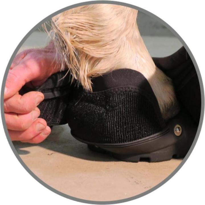 Actual product image Easyboot New Back Country (piece). Size 0.5W