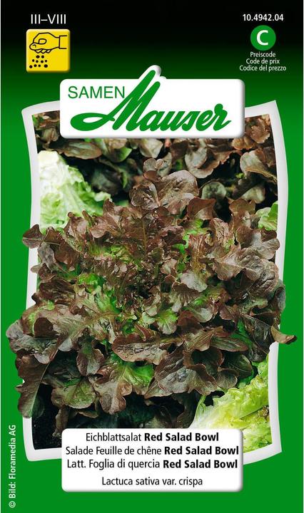 Actual product image Samen Mauser Oak leaf lettuce Red Bowl (Vegetable seeds)