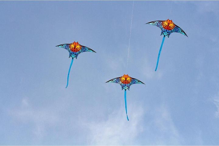 Actual product image Invento Manta Kite