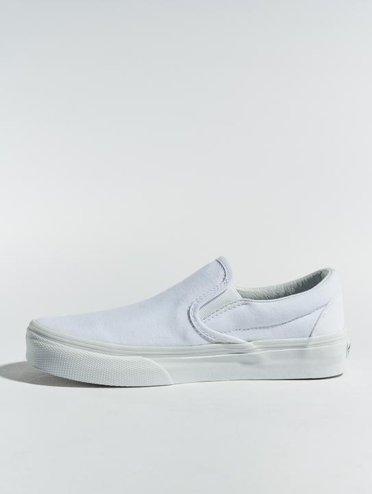 Image du produit Vans La glissade classique (45)