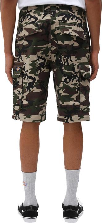 Actual product image Dickies Millerville Shorts (34)