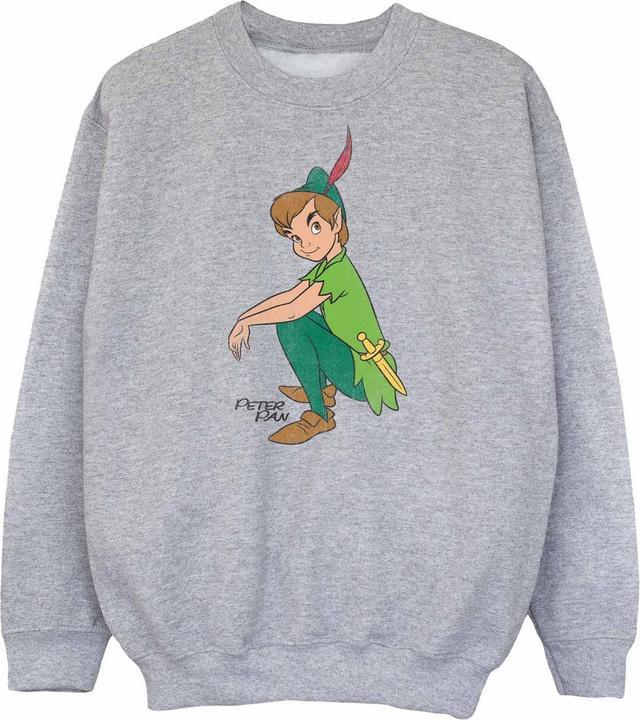 Image du produit Disney Sweatshirt pour garçons (140, 146)