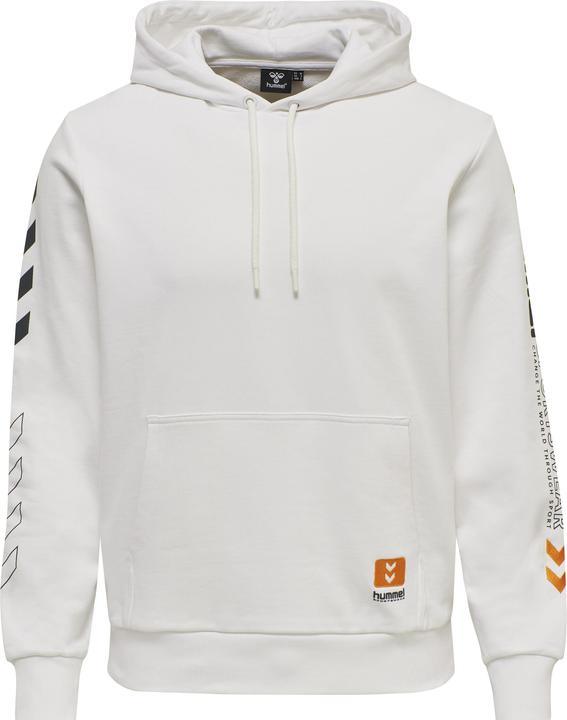 Actual product image hummel Lgc Birk Hoodie (XS)