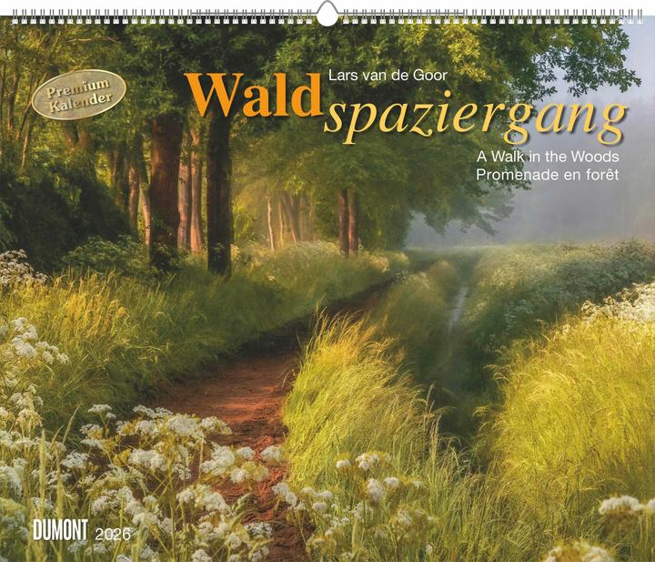 Immagine prodotto Waldspaziergang 2026 – Fotokunst-Kalender – Querformat 60 x 50 cm – Spiralbindung (Francese, Inglese, Tedesco)