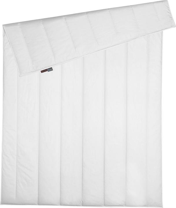 Actual product image Centa-Star Famous (600 g, 155 x 220 cm)
