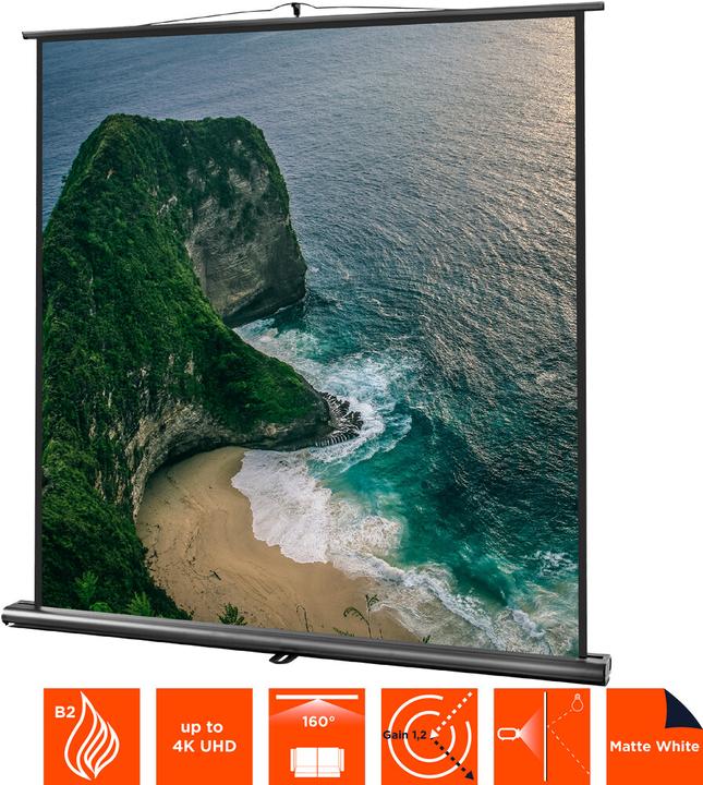 Image du produit Celexon Ultramobil Professional, écran (66.93", 1:1)