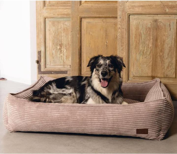 Image du produit Designed by Lotte Ribbed (Chien)