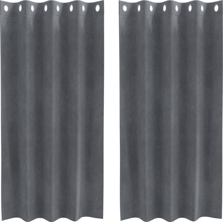VidaXL Tende oscuranti con occhielli 2 pezzi in velluto grigio super chiaro (140 x 175 cm)