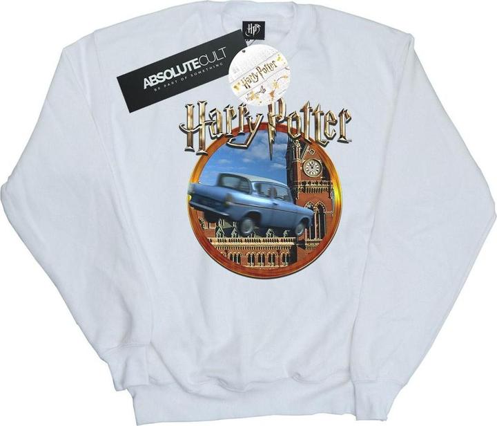 Actual product image Mens Flying Car Sweatshirt (XXL)