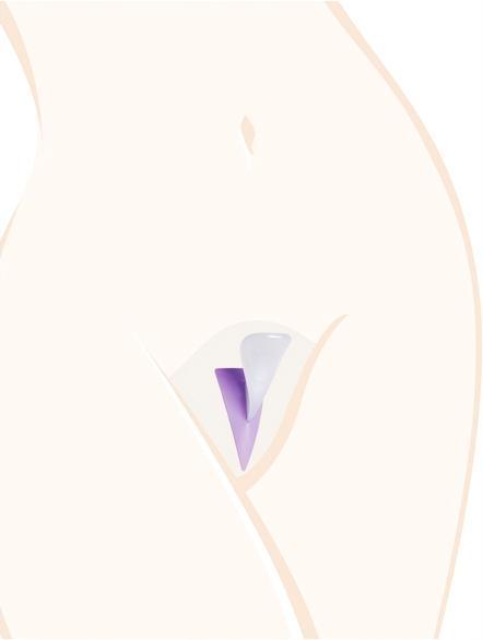 Immagine prodotto Ladyshape Triangolo