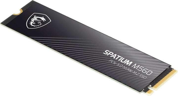 Actual product image MSI 1TO M.2 NVME GEN5 - SPATIUM M560 (1000 GB, M.2 2280)